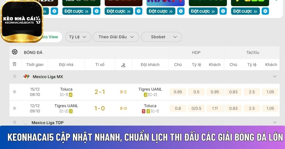lịch thi đấu các giải bóng đá lớn